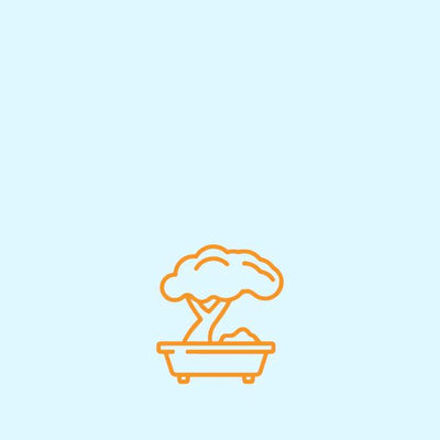 Reptile/Accessories & Treatments