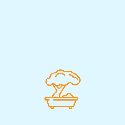 Freshwater/Bonsai & Decor