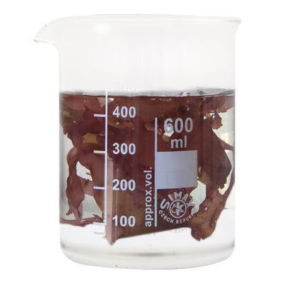 ASF A la Carte Red Seaweed 15g