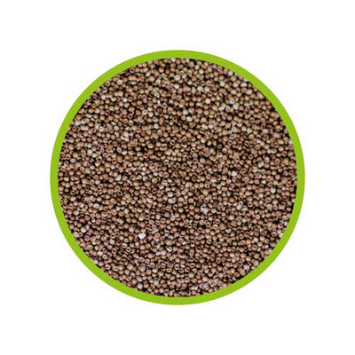 Dupla Artemia Brine Shrimp Eggs