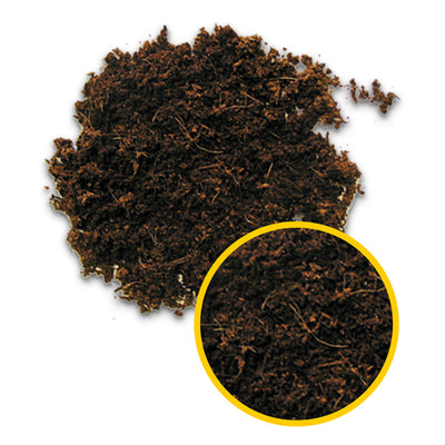 Dupla Hobby Terrano Forest