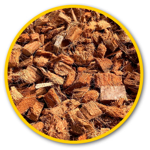 Dupla Hobby Terrano Koko Chips