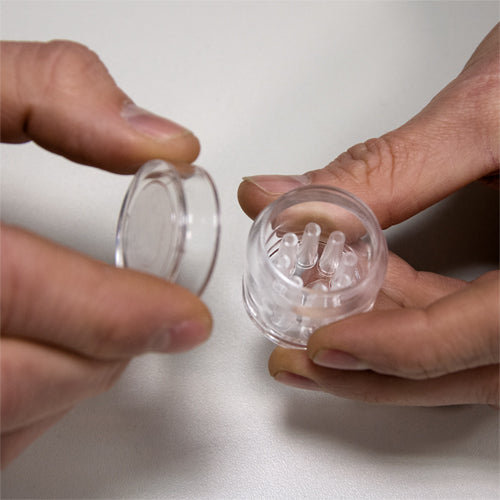 Dupla Planaria X Trap