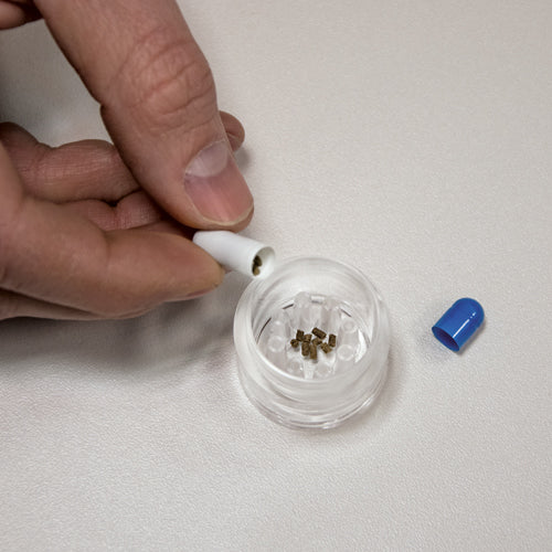 Dupla Planaria X Trap