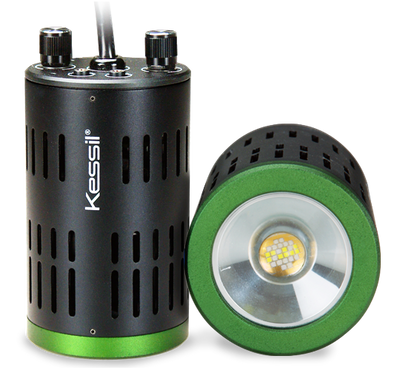 Kessil A160WE Tuna Sun