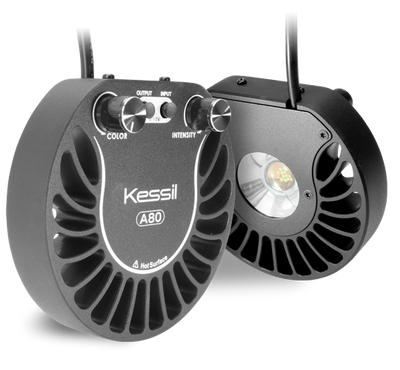 Kessil A80 Tuna Blue