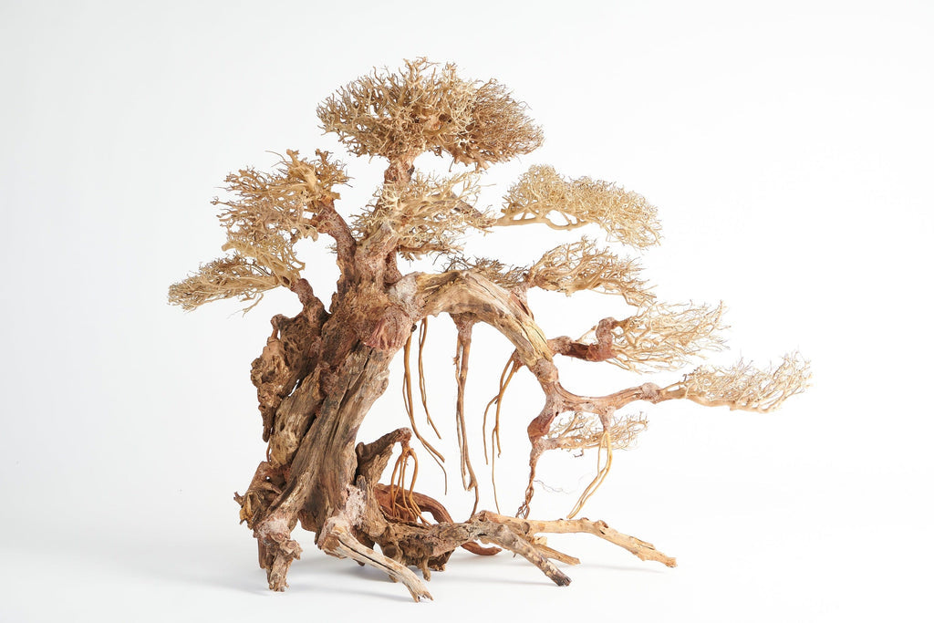 Golden Tree Bonsai 100x40cm