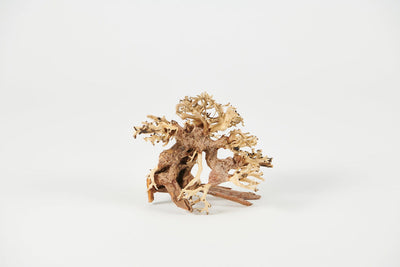 Golden Tree Bonsai 45x30cm