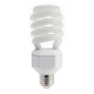 Reptile Compact Spiral Lamp