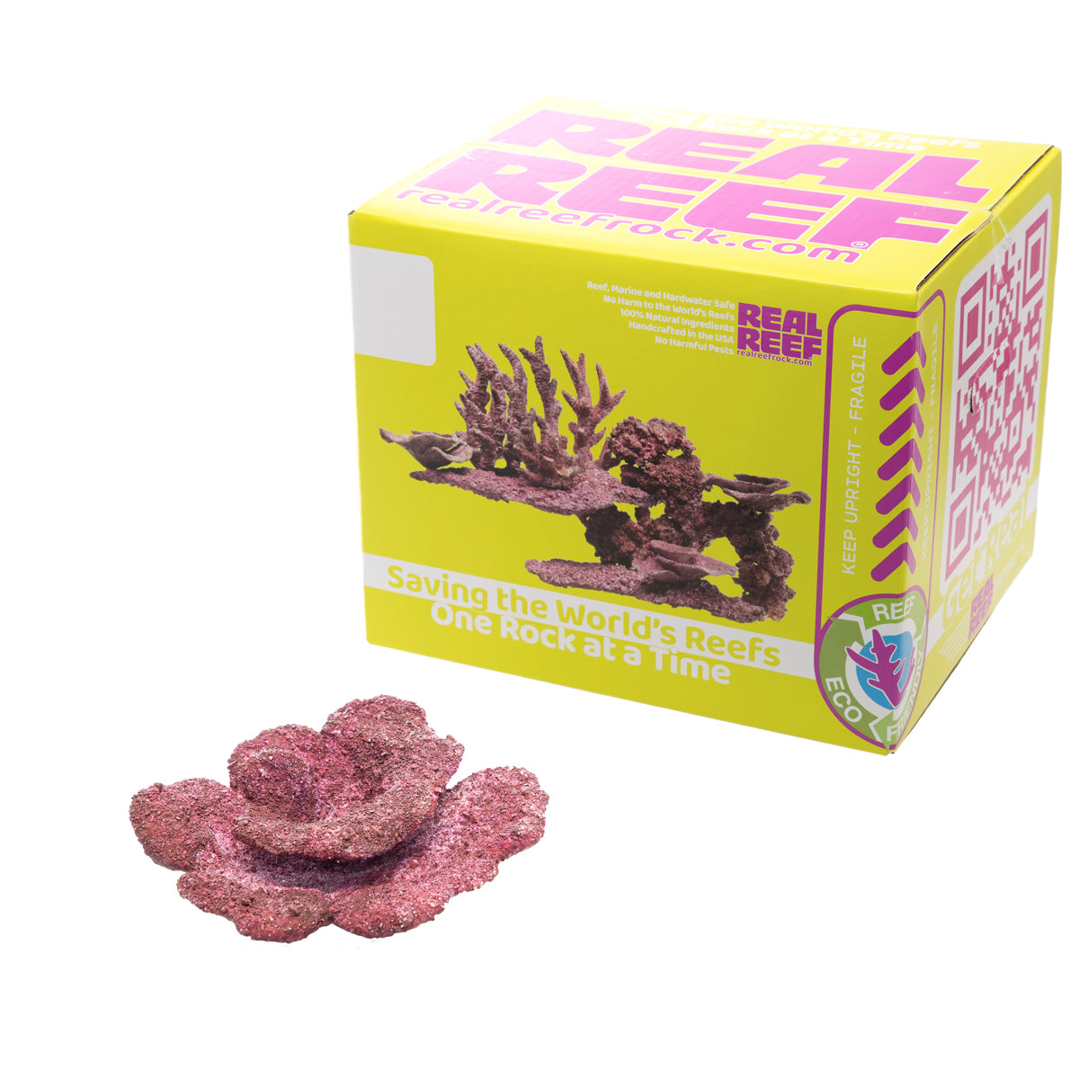 Real Reef Plate Corals