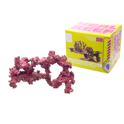 Real Reef Arches - Medium