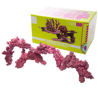 Real Reef Arches - Medium