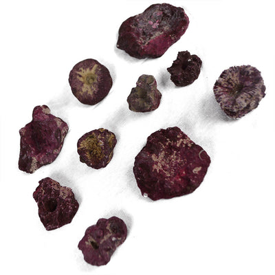 Real Reef Frag Rocks 200pc