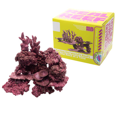 Real Reef Ready MIX Box