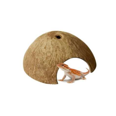 Golden Tree Coconut HALF Hideout - Aquarium