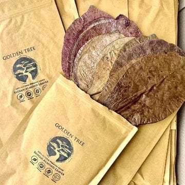 Golden Tree Premium Indian Almond Leaves