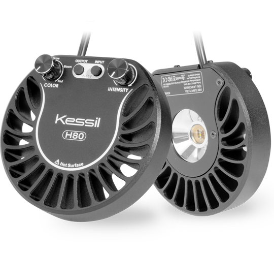 Kessil H80 Tuna Flora