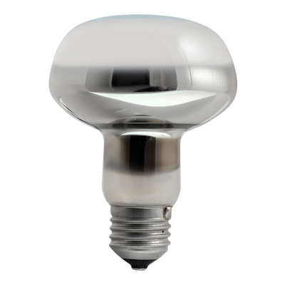 Reptile Systems Basking Solar Spot E27