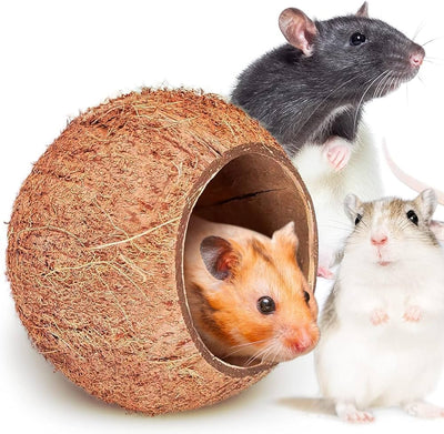 Golden Tree Coconut House - Guinea Pigs