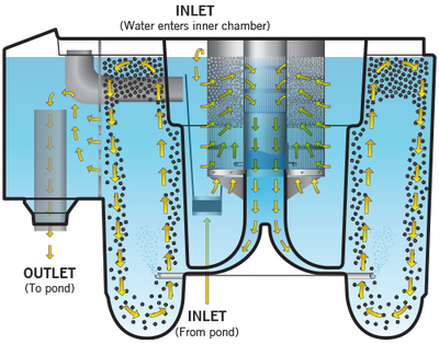 Evolution Aqua Nexus 220+