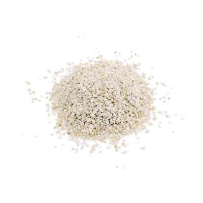 ASF Paleo Sand MEDIUM