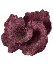 Real Reef Plate Corals