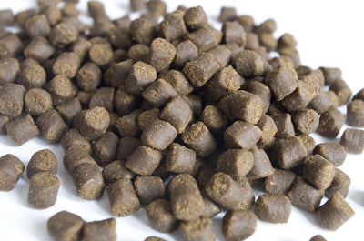 Vitalis Cichlid Carnivore Pellets 6mm