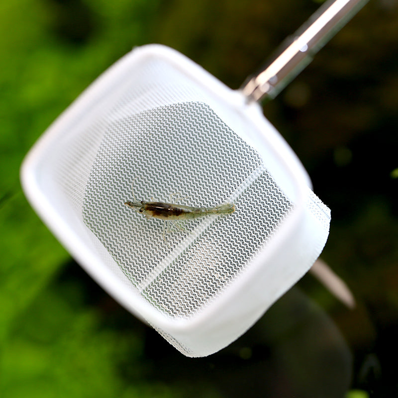 AquaPRO Retractable Shrimp Net Quadrate