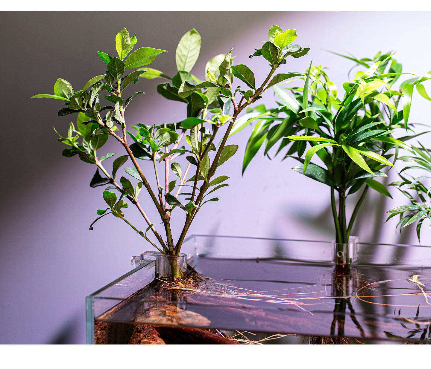 AquaPRO Plant Stand