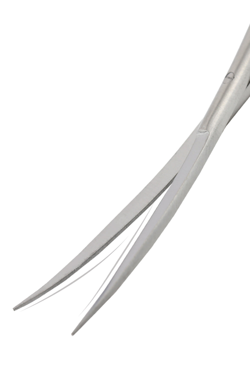 AquaPRO Curved Spring Scissors