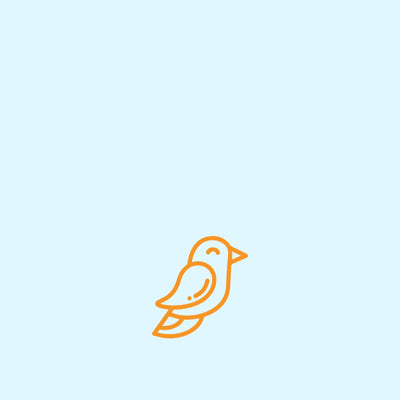 Bird/ Bird Bedding