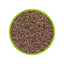 Dupla Artemia Brine Shrimp Eggs