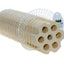 Mountain Tree Lotus Root Bacteria House