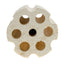 Mountain Tree Lotus Root Bacteria House