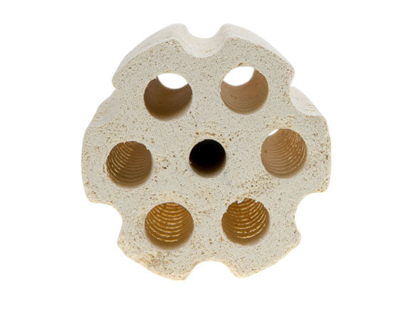 Mountain Tree Lotus Root Bacteria House