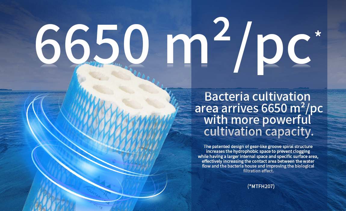 Mountain Tree Lotus Root Bacteria House - Marine