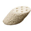 Mountain Tree Lotus Root Nitro Ring II - MARINE