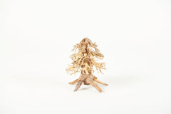Golden Tree Bonsai 80x50cm