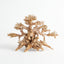 Golden Tree Bonsai 25x20cm
