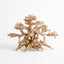 Golden Tree Bonsai 45x30cm