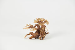 Golden Tree Bonsai 25x20cm
