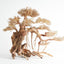Golden Tree Bonsai 80x50cm