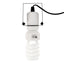 Reptile Compact Spiral Lamp
