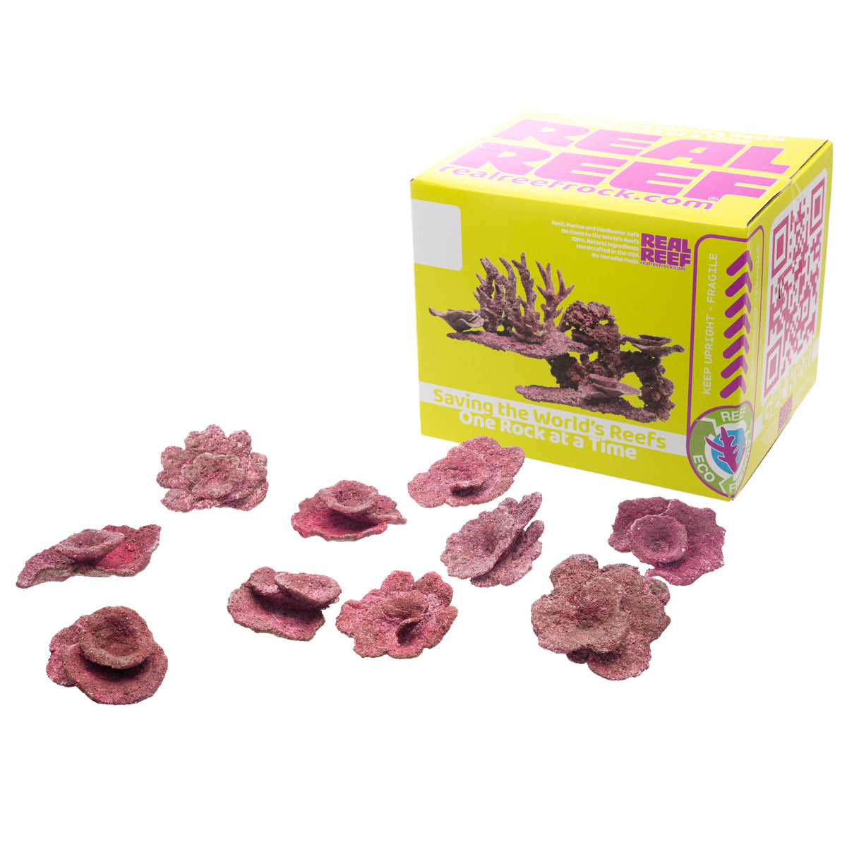 Real Reef Plate Corals