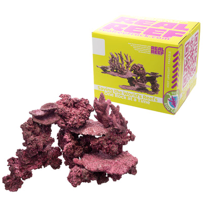 Real Reef Ready MIX Box