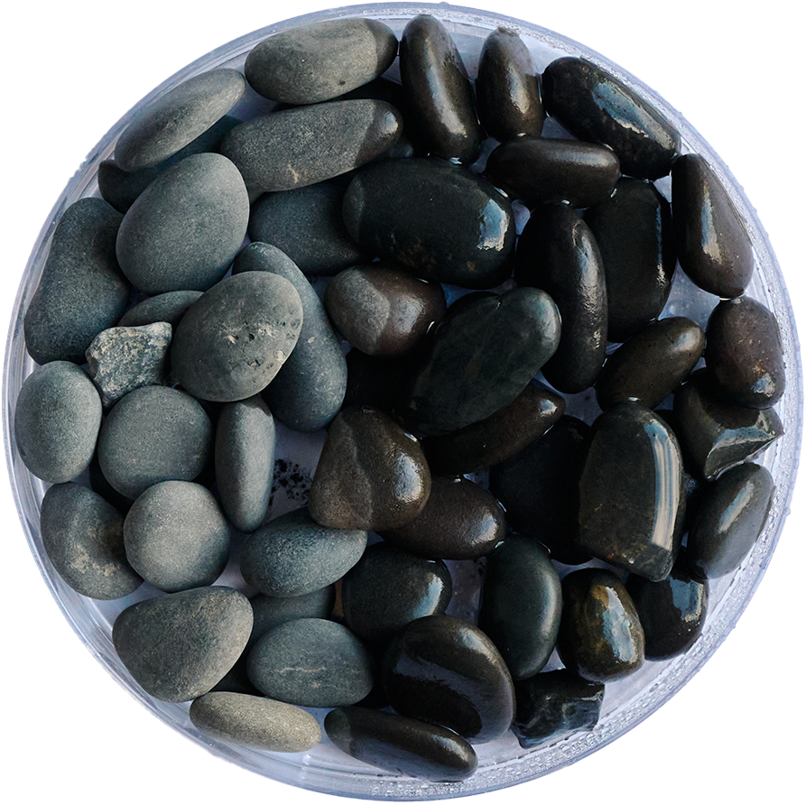 Golden Tree Black Stone Gravel