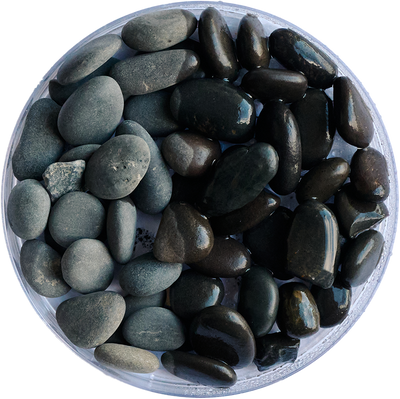 Golden Tree Black Stone Gravel