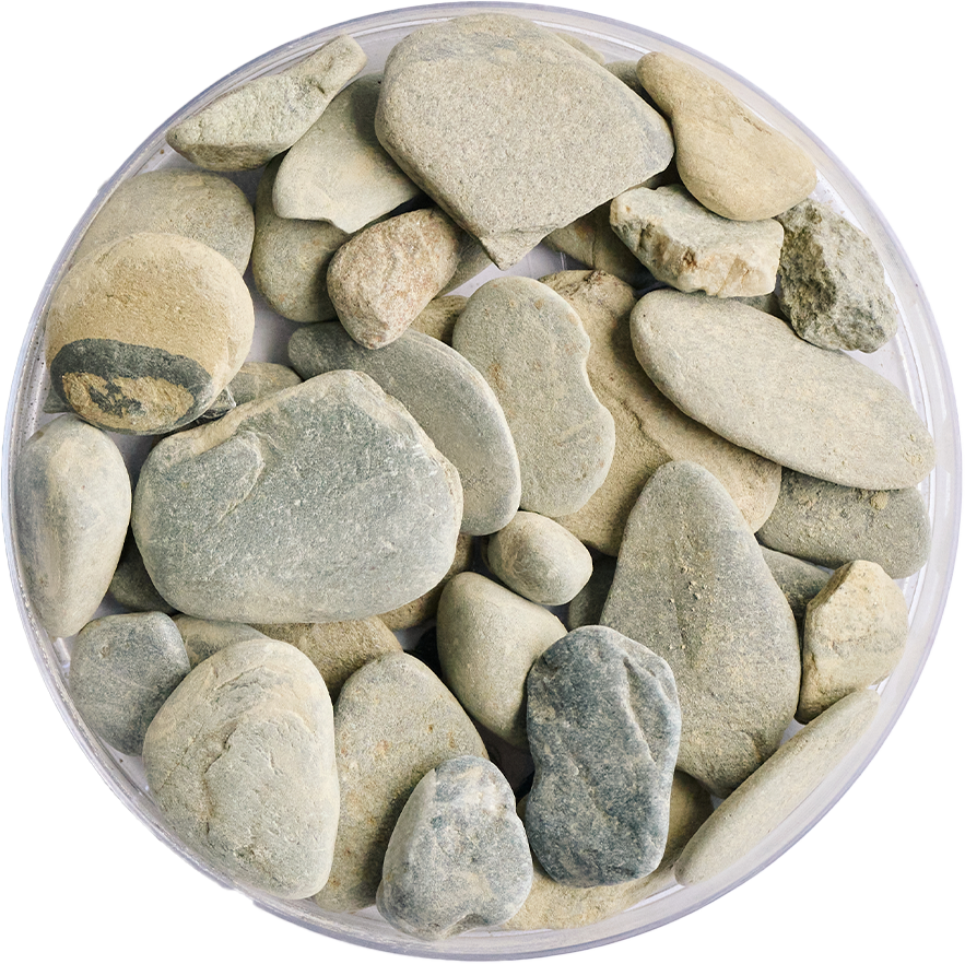 Golden Tree Riverbed Gravel
