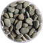 Golden Tree Black Stone Gravel
