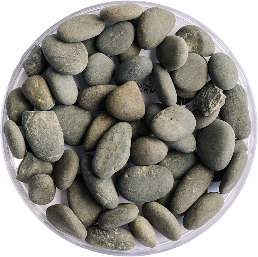 Golden Tree Black Stone Gravel